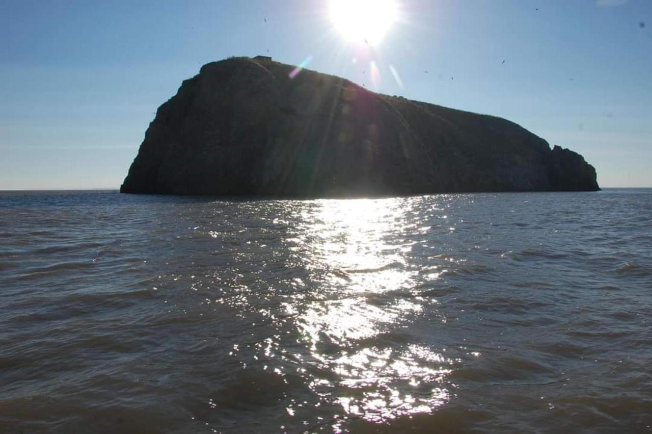95 Holiday Resort Unity 3 Bed Passes Included Brean Bagian luar foto